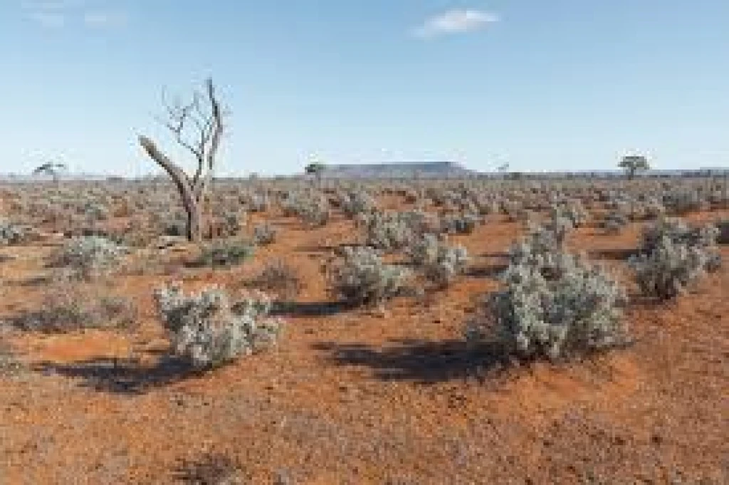 article-cardd-hover-rewriting-the-lithium-playbook-archean-roots-greenstone-belts-and-giant-pegmatites