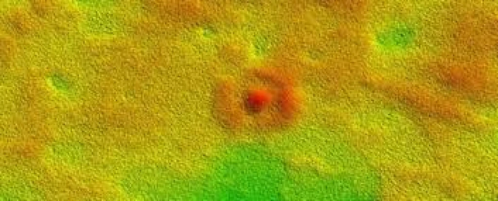 A giant ‘bullseye’ on the Nullarbor Plain was created by ancient sea life - Background